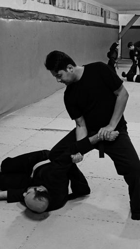 عکس خانه نینجا (سبک رزمی نینجا)