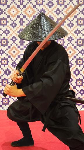 عکس خانه نینجا (سبک رزمی نینجا)