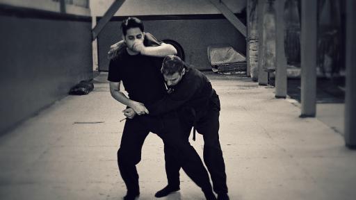 عکس خانه نینجا (سبک رزمی نینجا)