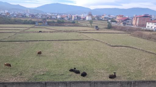 عکس مسکن مهر فرج آباد