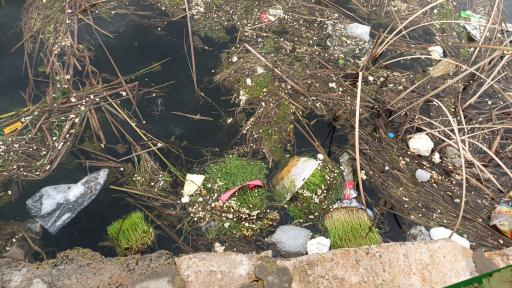 عکس مجموعه تفریحی سراب نیلوفر