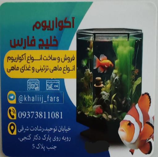 عکس آکواریوم خلیج فارس