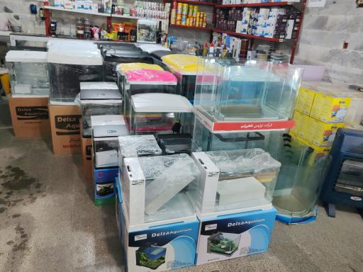 عکس آکواریوم خلیج فارس