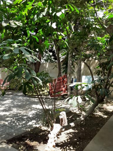 عکس مهمانپذیر ایرانفرد