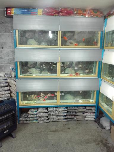 عکس آکواریوم خلیج فارس