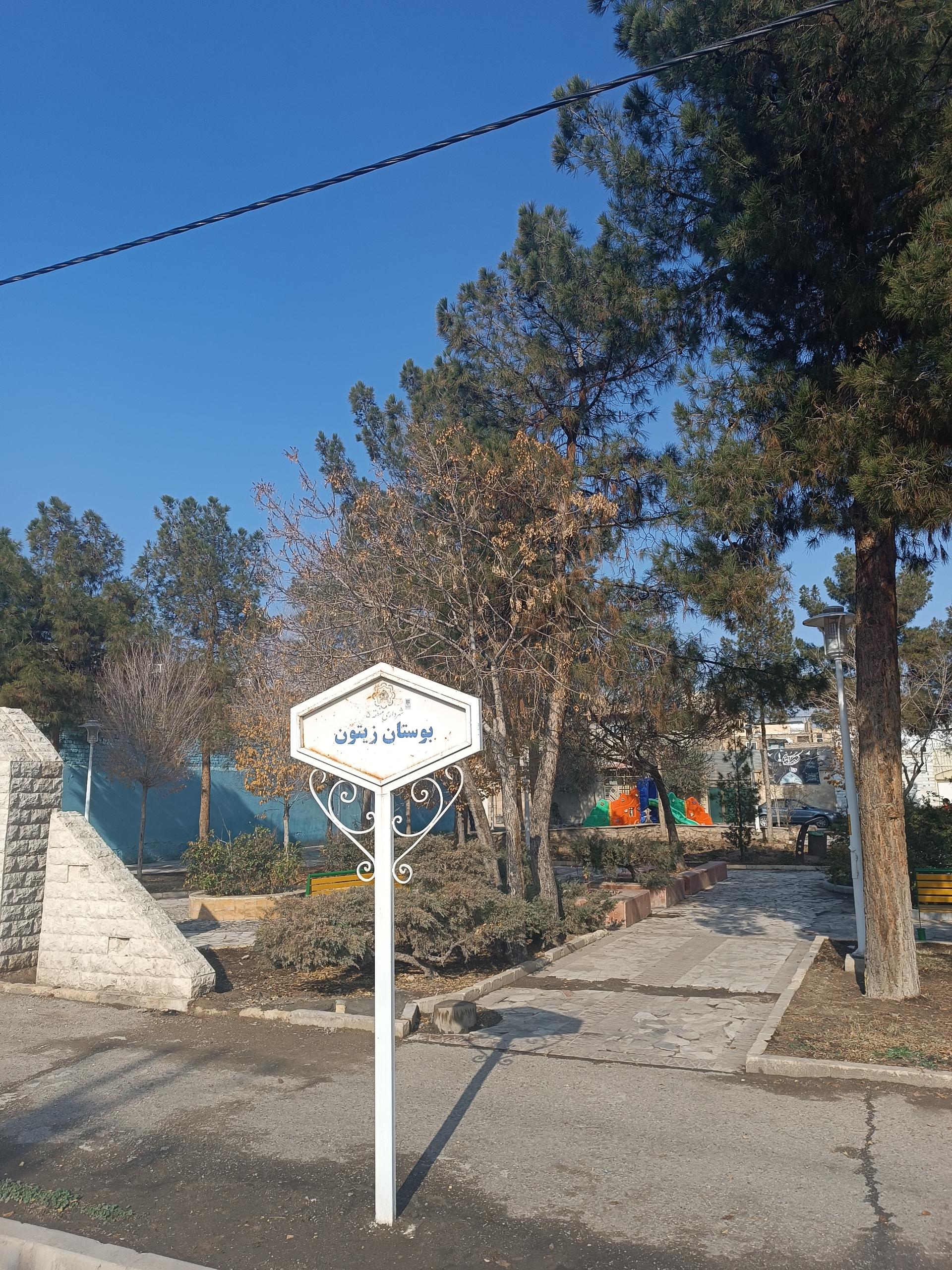 عکس بوستان زیتون