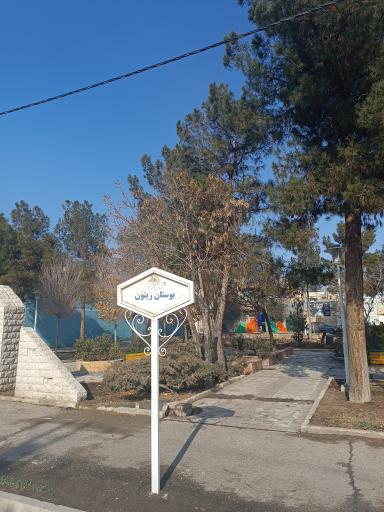 عکس بوستان زیتون