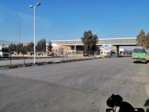 عکس زرین برگ پرشیا