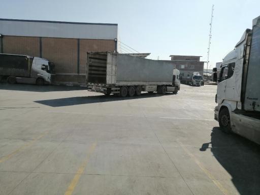 عکس زرین برگ پرشیا