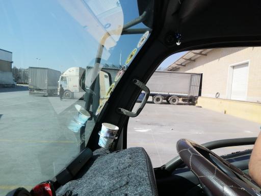 عکس زرین برگ پرشیا