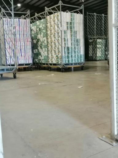 عکس زرین برگ پرشیا