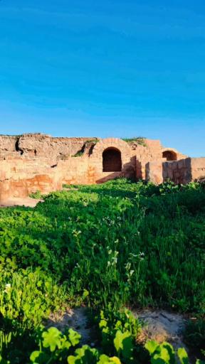 عکس پل بند شادروان