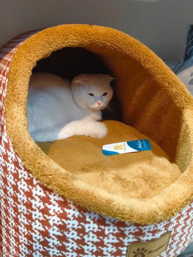 عکس پلی کلینیک دامپزشکی کاوه