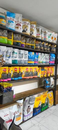 عکس پلی کلینیک دامپزشکی کاوه