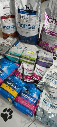 عکس پلی کلینیک دامپزشکی کاوه