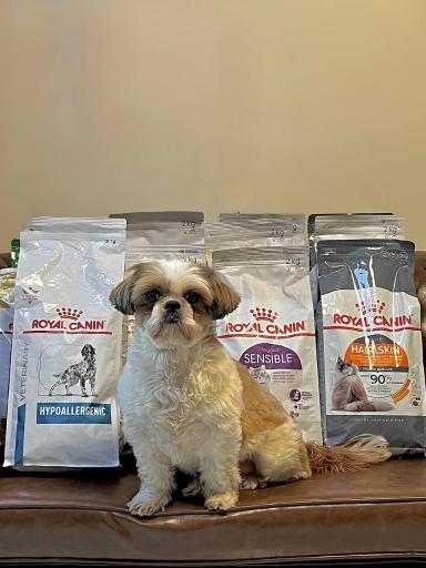 عکس پلی کلینیک دامپزشکی کاوه