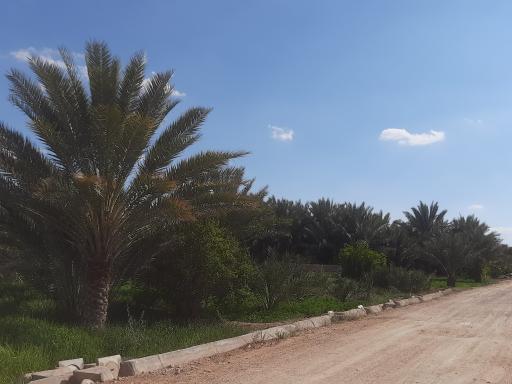 عکس خور
