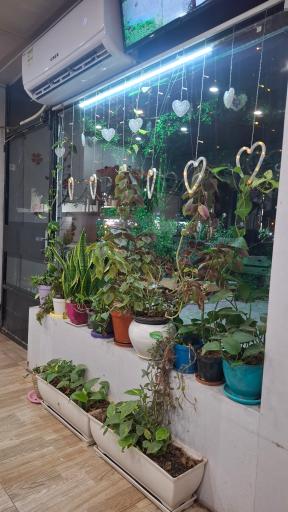 عکس کافه هپی