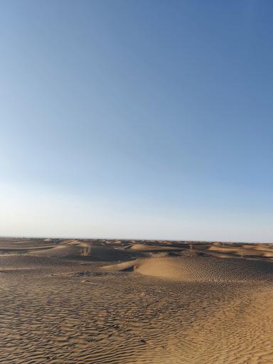 عکس خور