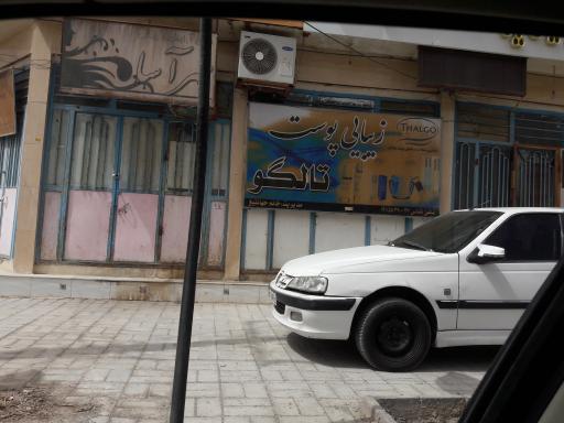 عکس استنیو زیبایی تالگو