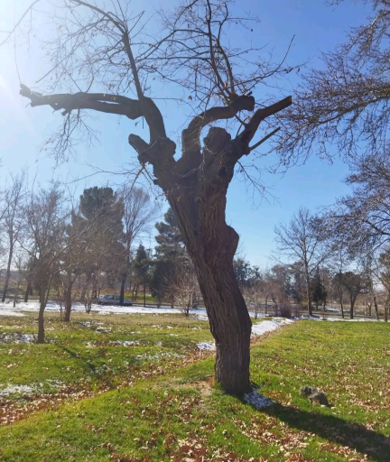 عکس پارک دانشجو