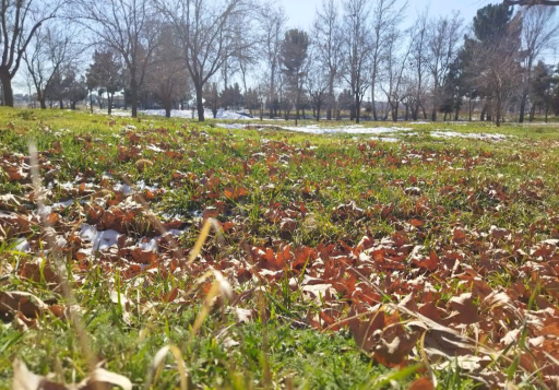 عکس پارک دانشجو