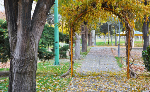 عکس پارک دانشجو