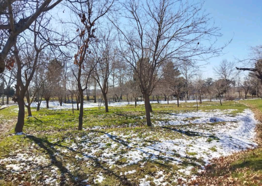 عکس پارک دانشجو