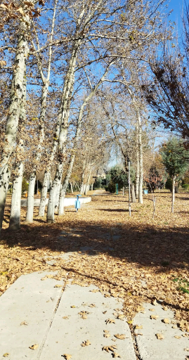 عکس پارک دانشجو