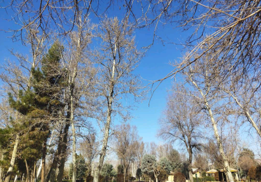 عکس پارک دانشجو