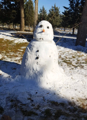 عکس پارک دانشجو