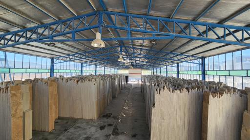 عکس ثمین سنگ