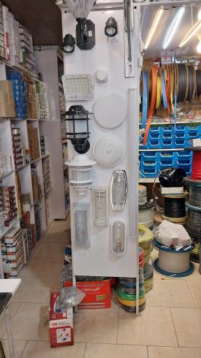 عکس الکتریکی قربانی