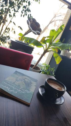 عکس کافه آریا 