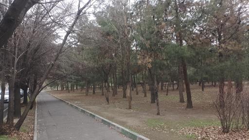 عکس پارک شبنم