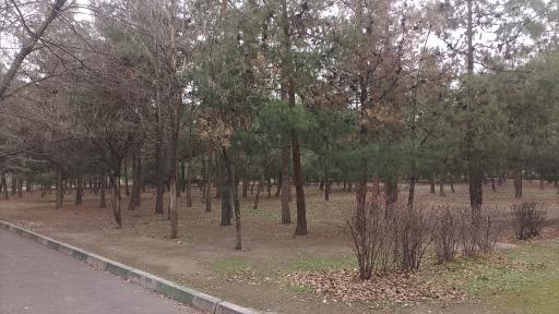 عکس پارک شبنم