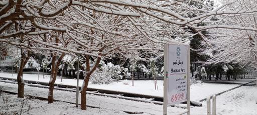 عکس پارک شبنم