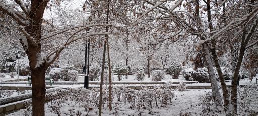 عکس پارک شبنم