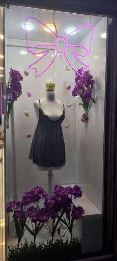 عکس لباس زیر زنانه پاپیون 