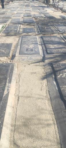 عکس قطعه 317