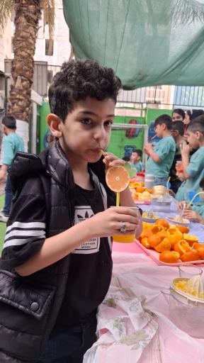 پیش دبستان و دبستان مهارت محور سپهردانایی