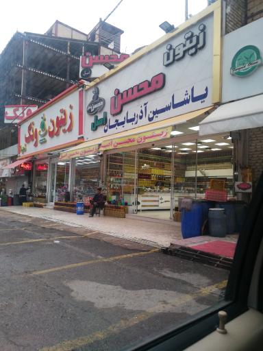 زیتون محسن اصل