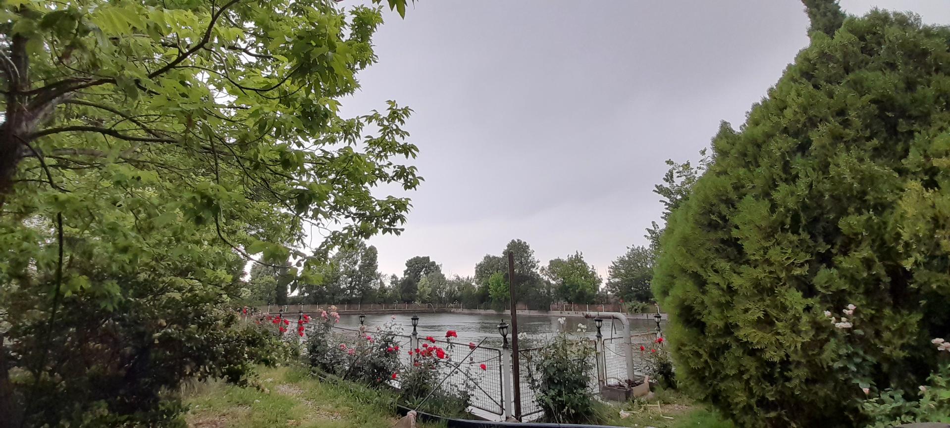 عکس تالار پذیرایی ارکیده