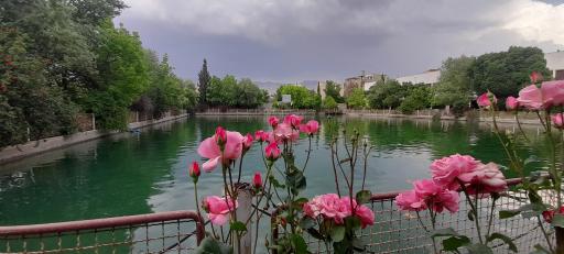 عکس تالار پذیرایی ارکیده