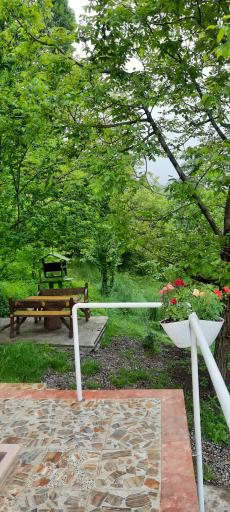 عکس اقامتگاه جنگلی آپادانا 