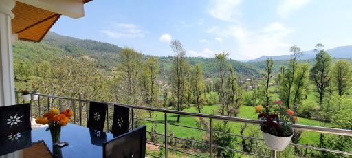 عکس اقامتگاه جنگلی آپادانا 