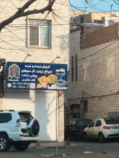 عکس شیرینی نباتیم