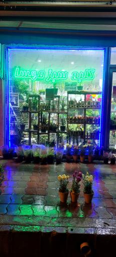 عکس گلخانه کلبه سبز مهسا