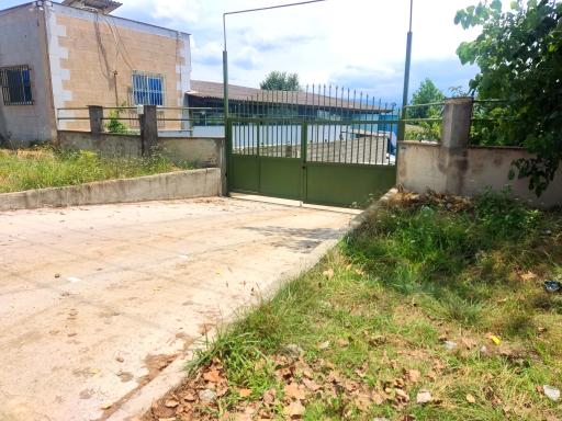 عکس دیجی قلیون بابل