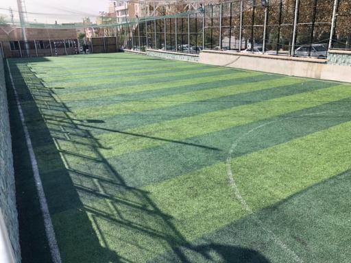 عکس زمین چمن غروی